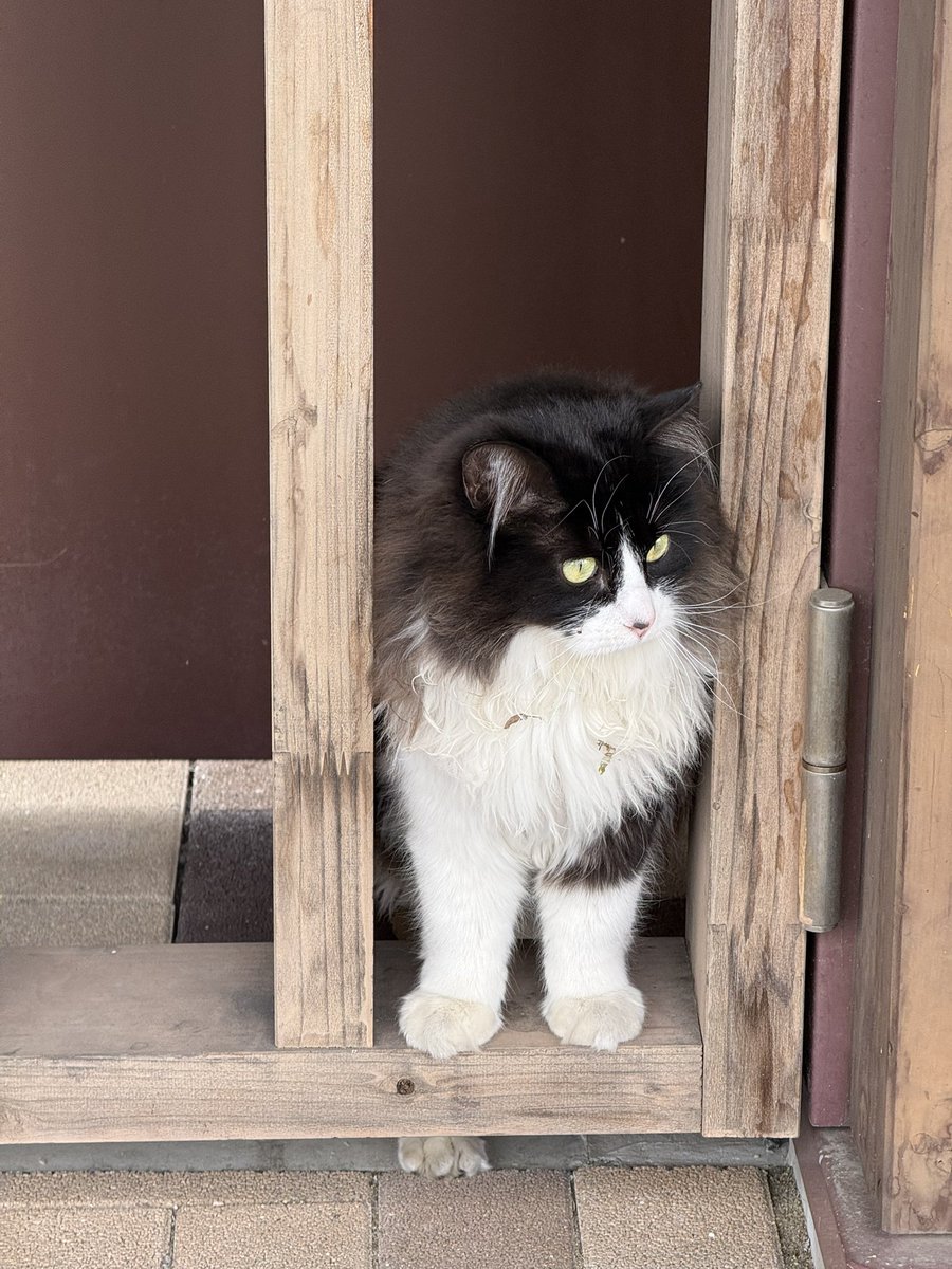 ใ๏ผ๐๐๏ธ๐ฎ tweet media