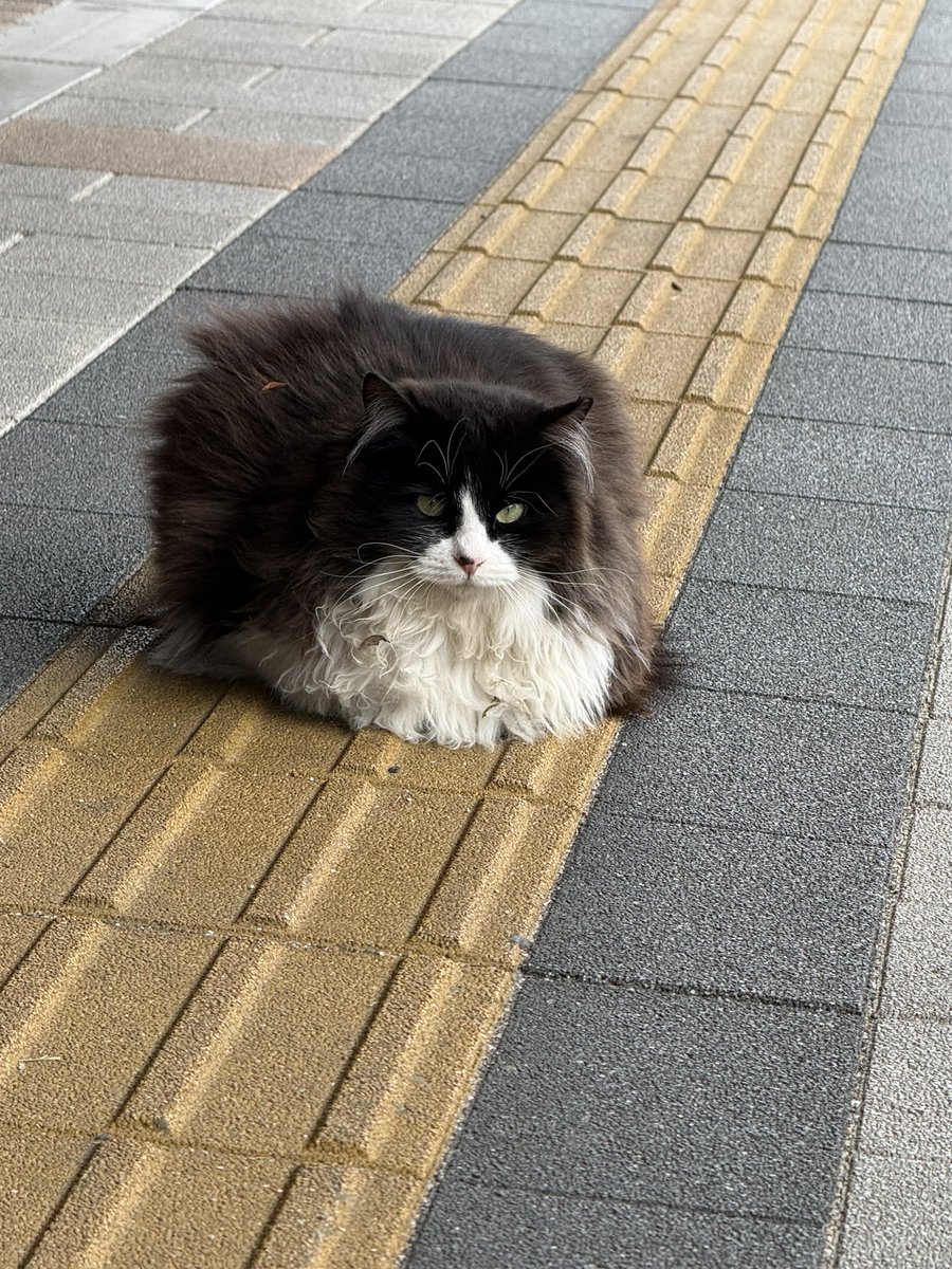 ใ๏ผ๐๐๏ธ๐ฎ tweet media