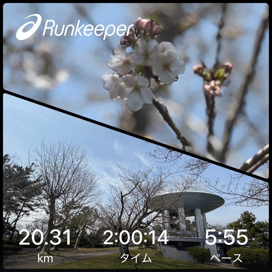 クマゴリラ⛰🏃🏿♂️4/5行田市鉄剣マラソン tweet media