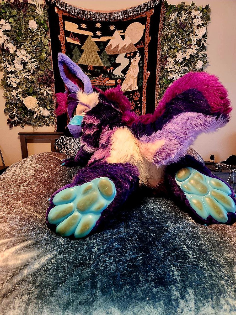 🔞 🐾 Stimky Purple Yeen 🔜TFF, LVFC tweet media