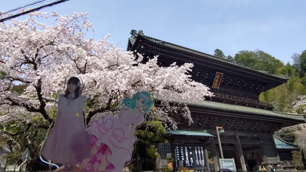 WHITE_Ayase's tweet image. さくちゃん、さくらだよ〜🌸
#39color 
#坂倉花 
目的地まであと少しだけどこの階段登らないと…。