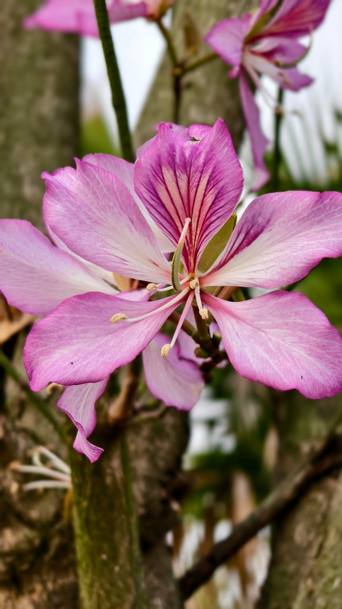 Amber Seymore tweet media