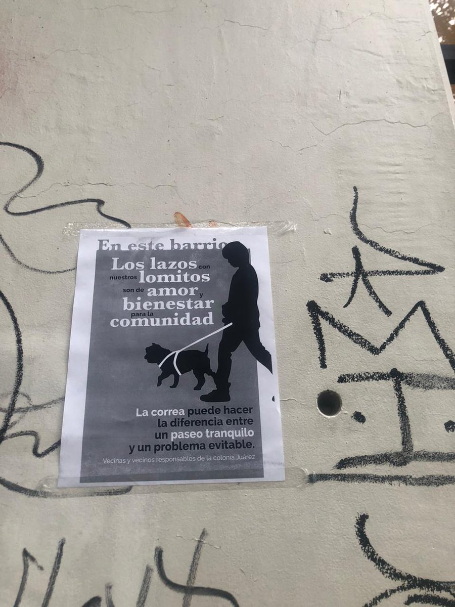 Ante el desinterés de las autoridades por el tema, vecinos de #ColoniaJuarez se organizan para concientizar sobre el uso de correa en paseos de perros por vía pública repartiendo y pegando flyers.
Planean colocar lonas informativas sobre las multas por incurrir en esto.
