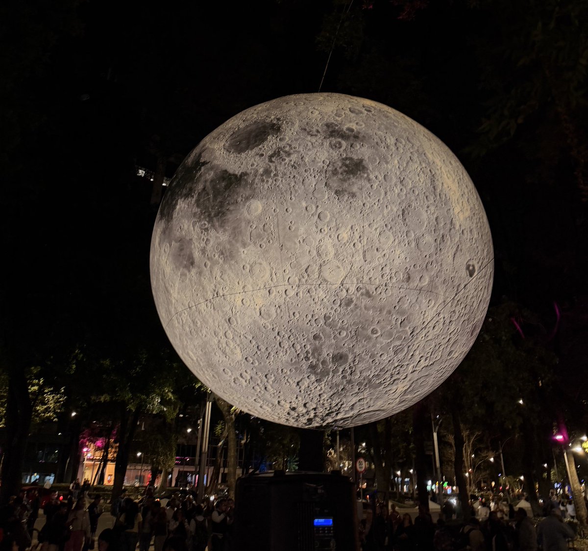 Wikichava tweet media