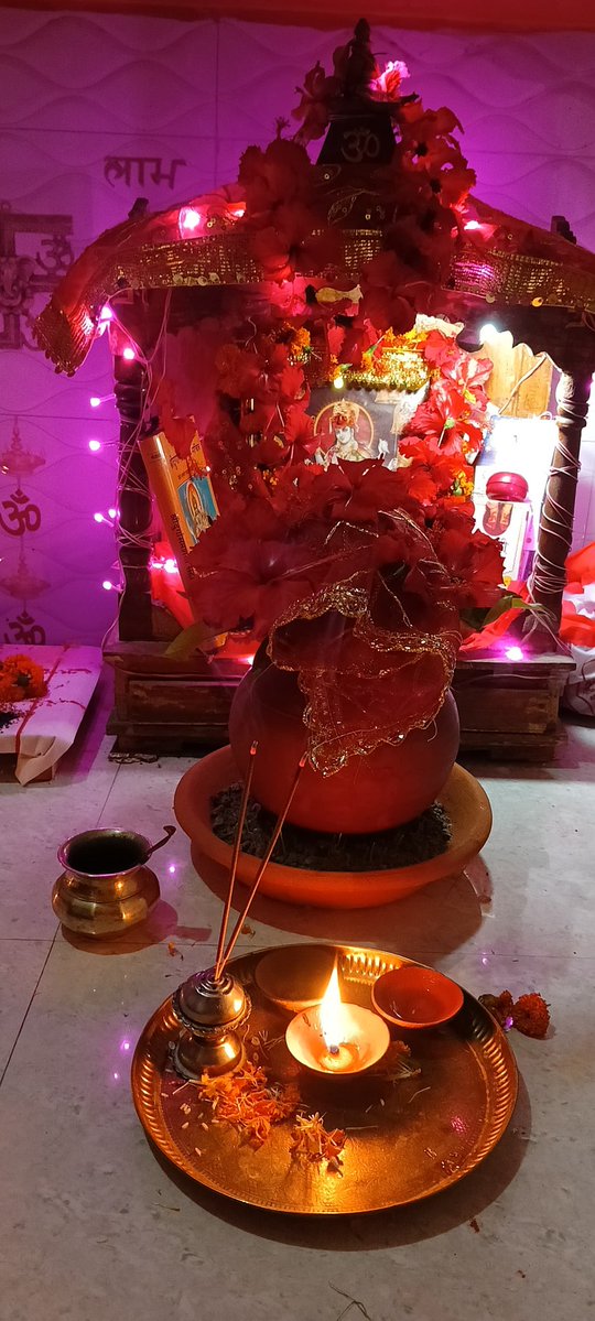 Nikita Dubey. tweet media