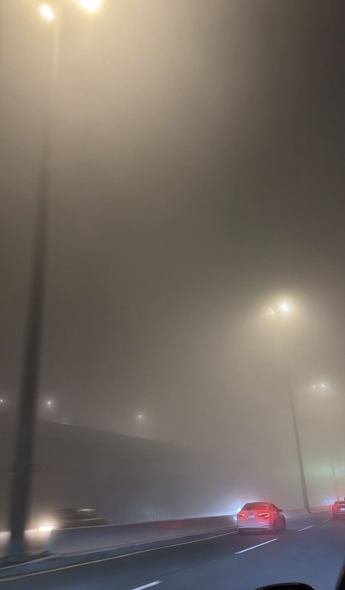 𐙚 𝐒𝐀𝐑𝐀 tweet media