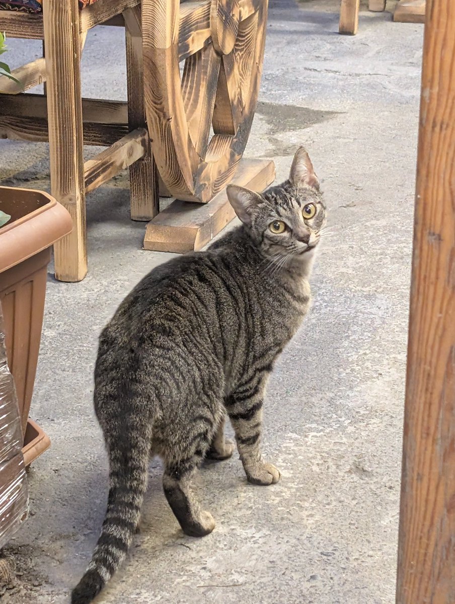 Lucky Boy 🇦🇺 🔞 tweet media