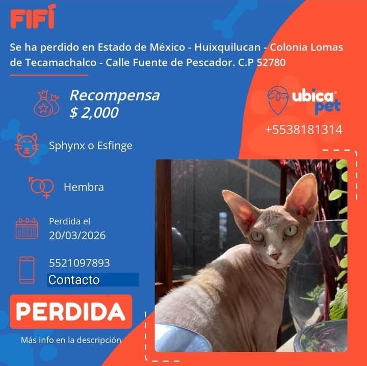UBICAPET MÉXICO tweet media