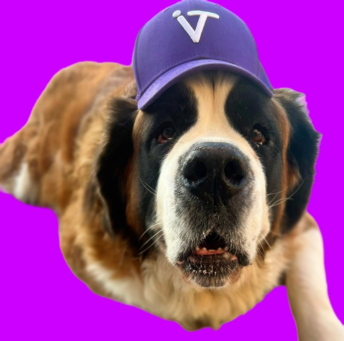 Rodolphe Steffan tweet media