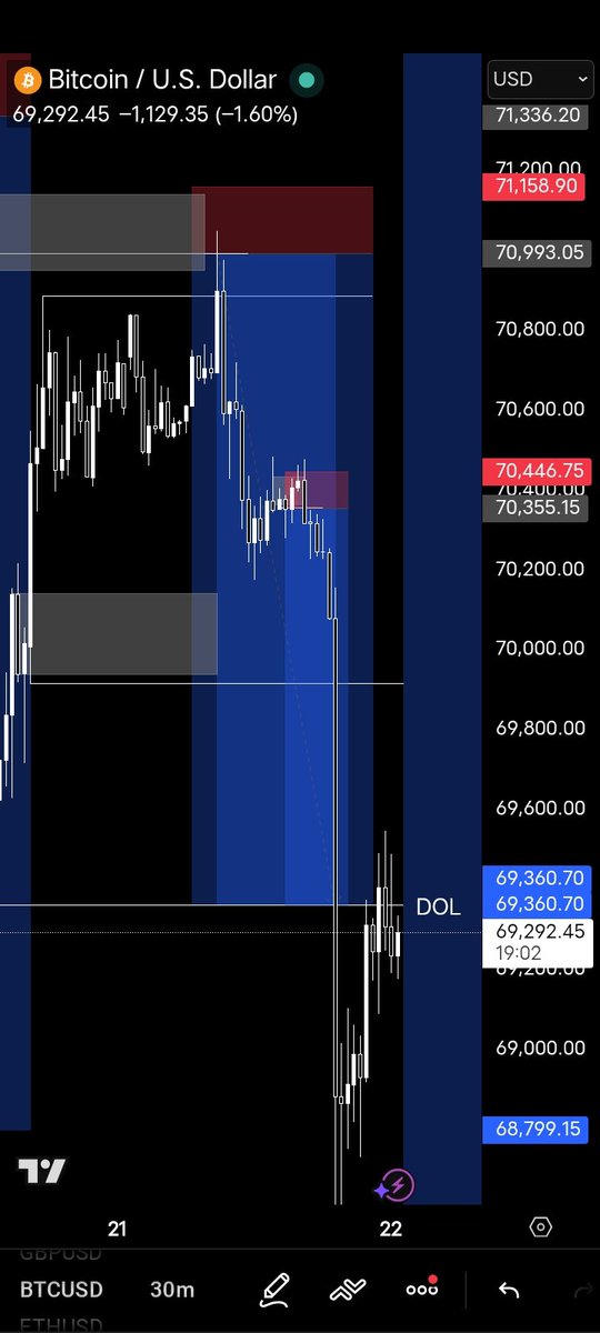 RAYO💲 tweet media