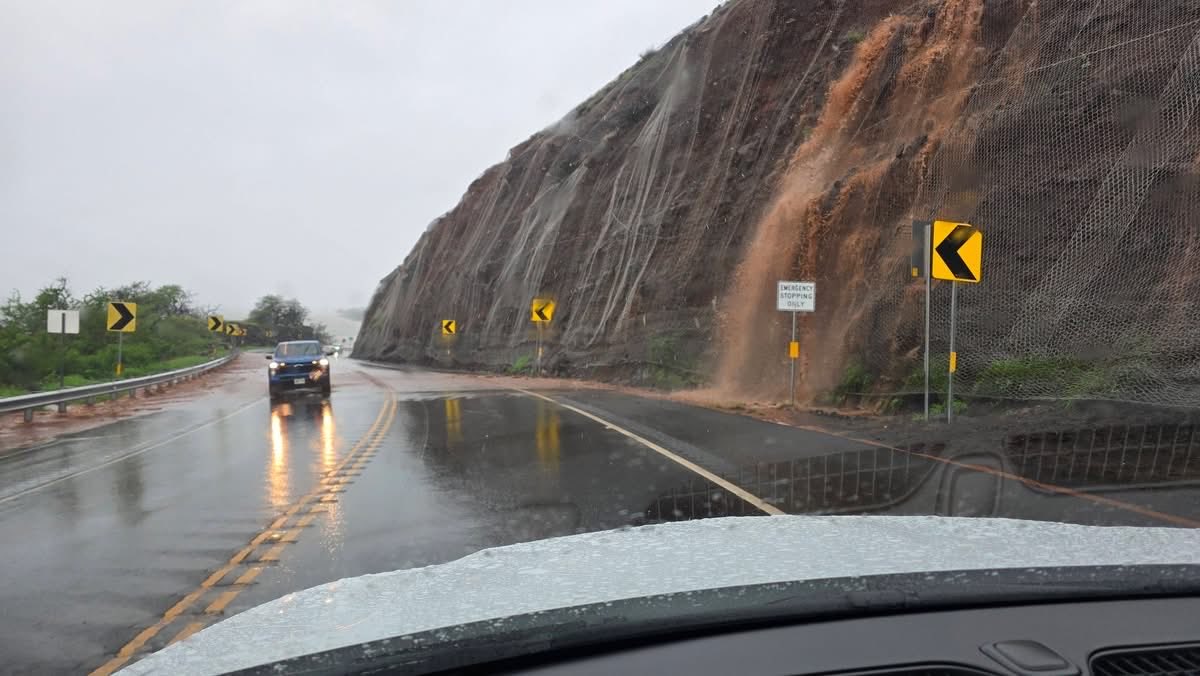 Tiki 🧜‍♀️🐴 tweet media