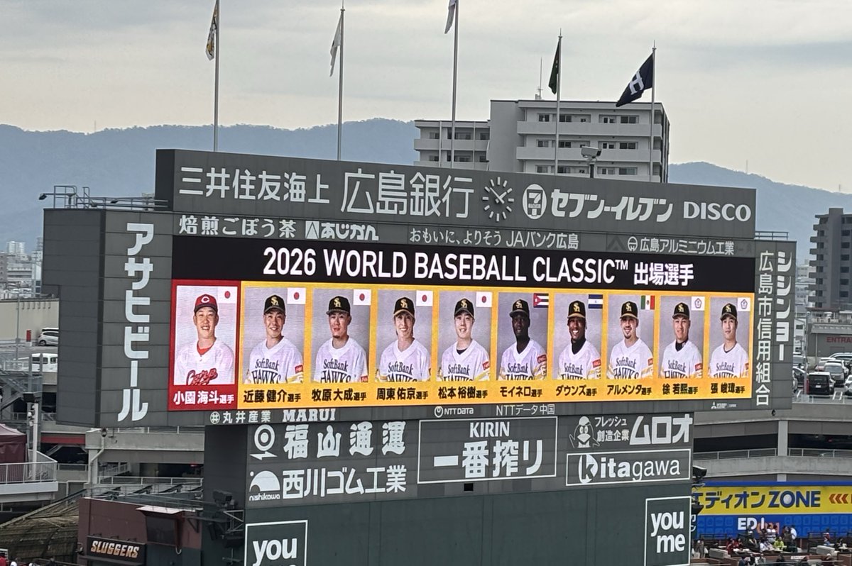 ふみぃ tweet media