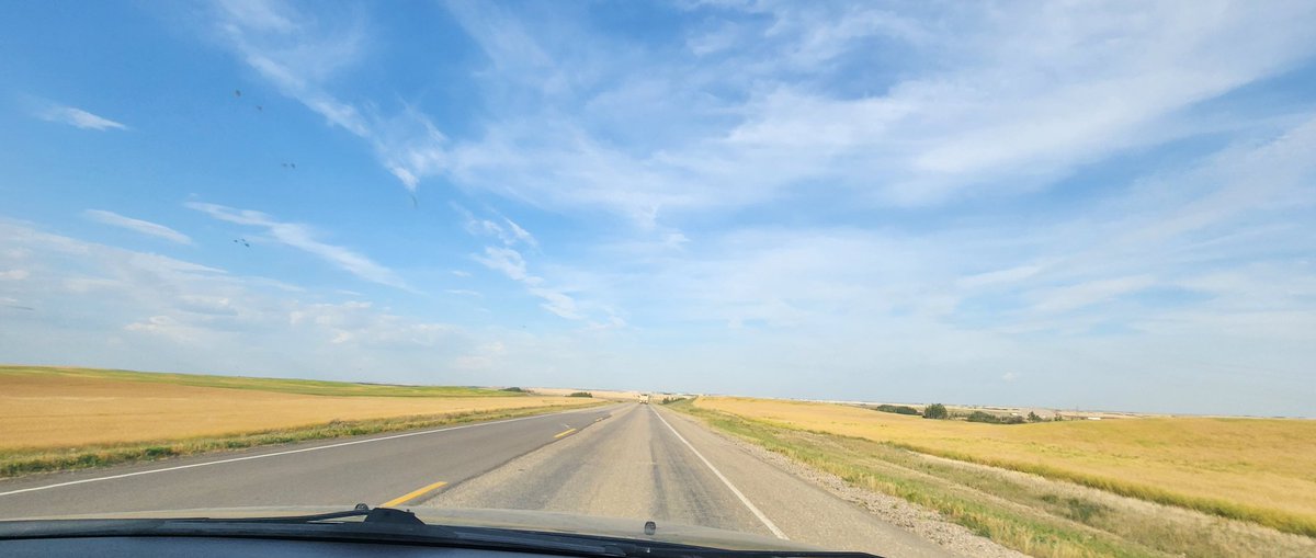 𓆩 ˗ˏˋ Vee ´ˎ˗ 𓆪 (uni era) tweet media