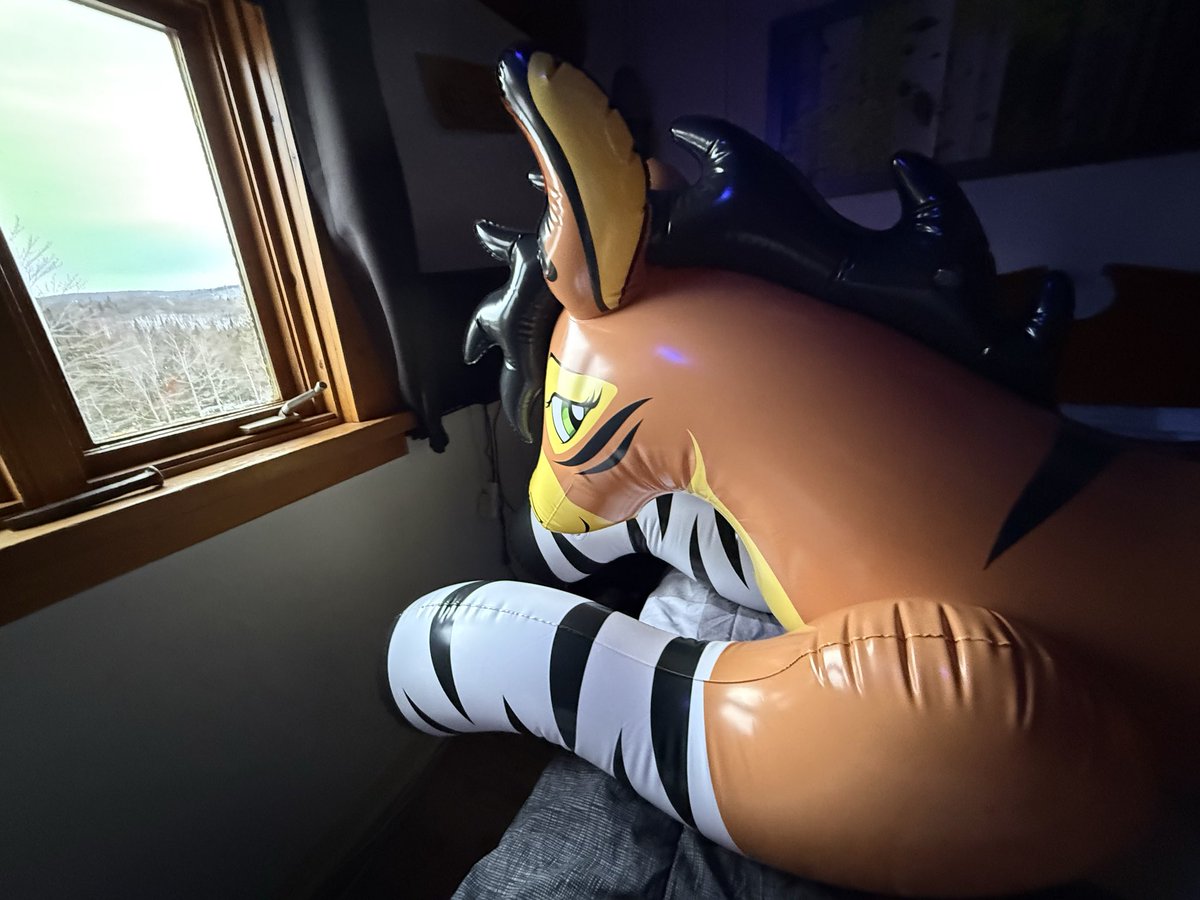 Nøurs 🧸⚡️🐻 tweet media