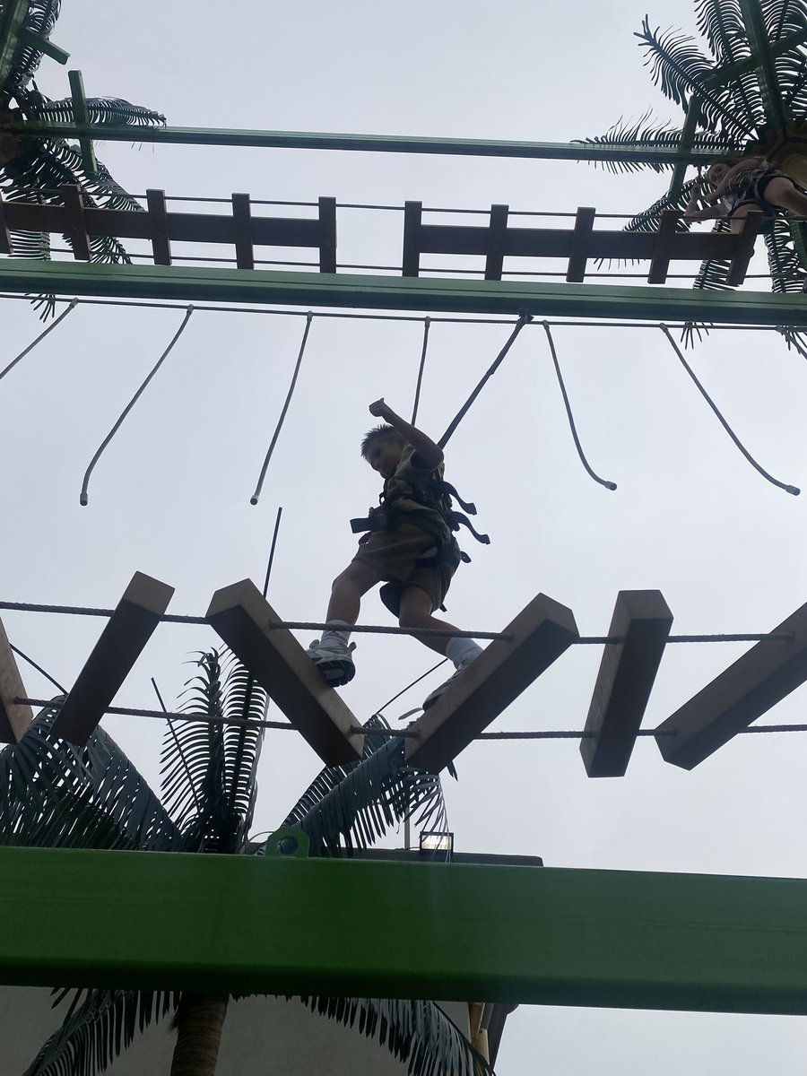 Dan Bright tweet media