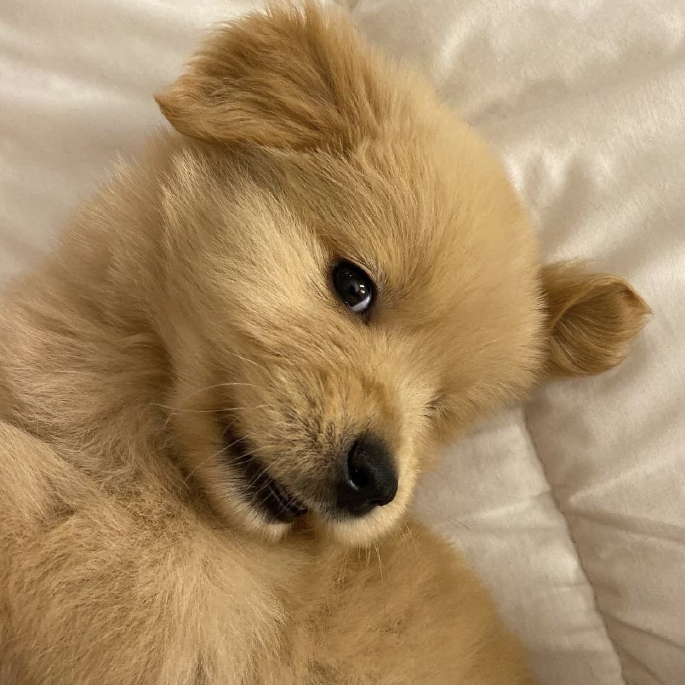 55555555555555555555555555555555555555555555555555555555555555555555