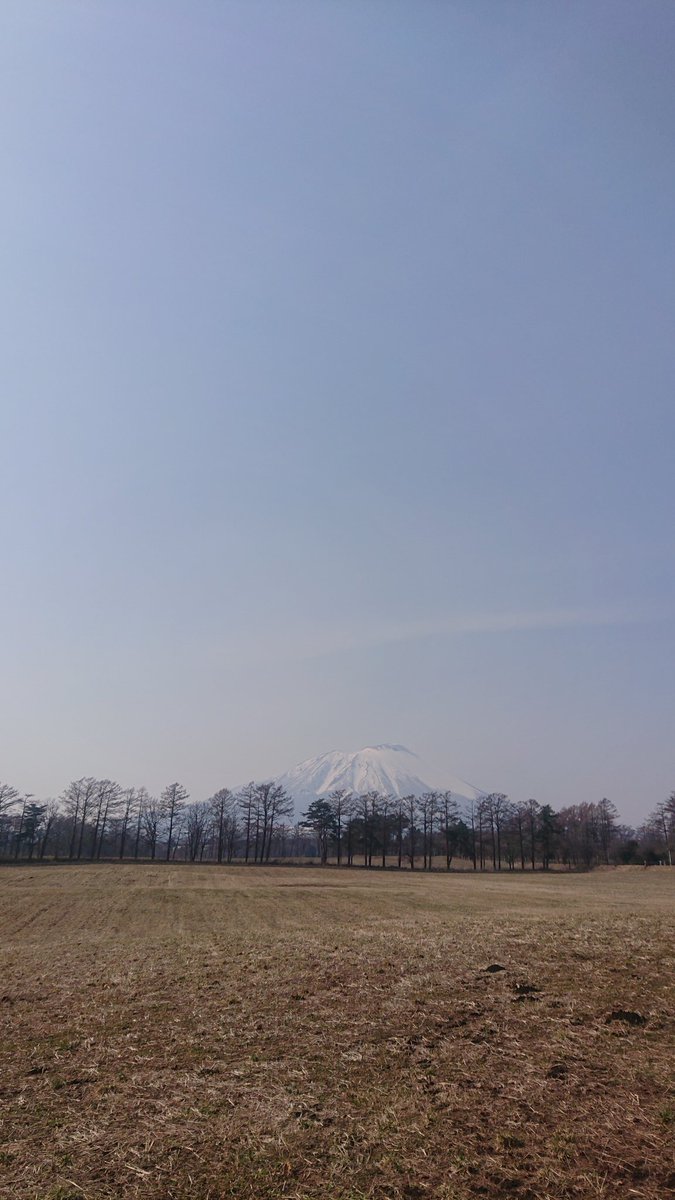 °とっと° tweet media