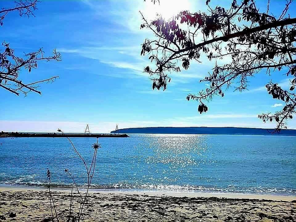 valentina tweet media