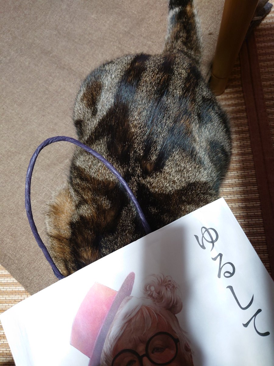 おかんです tweet media