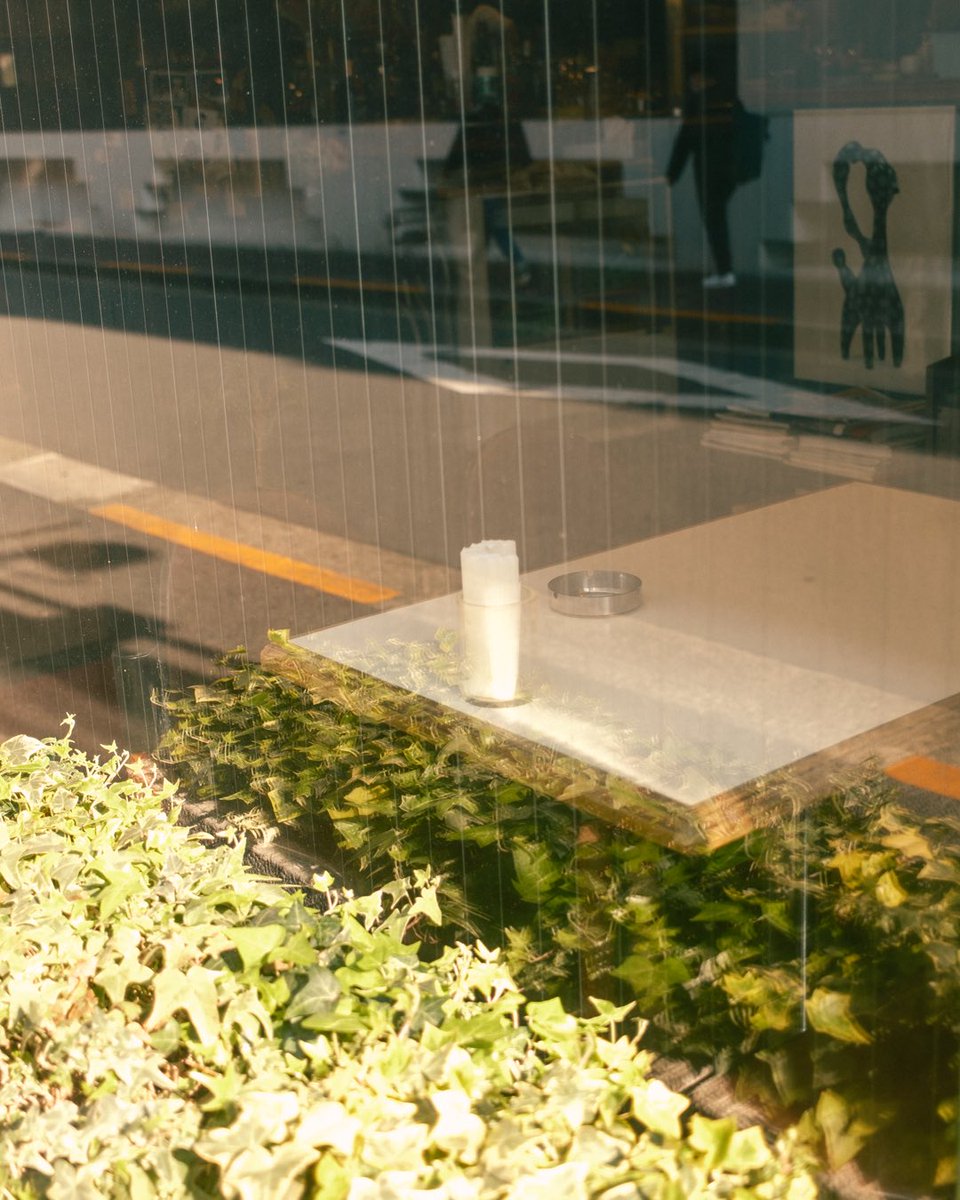 koo | 日常写真家 tweet media