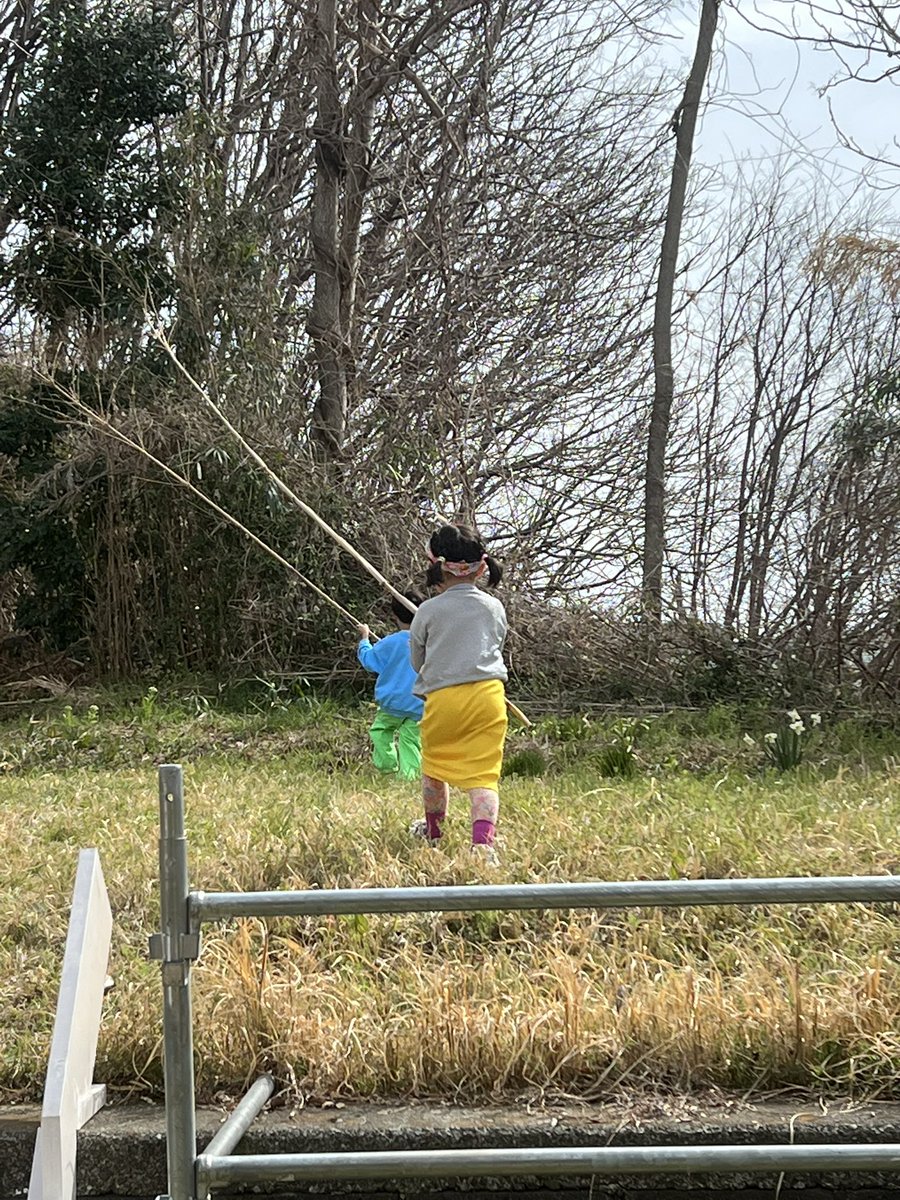 りるぱぱ@🐘6Y🐰4Y tweet media