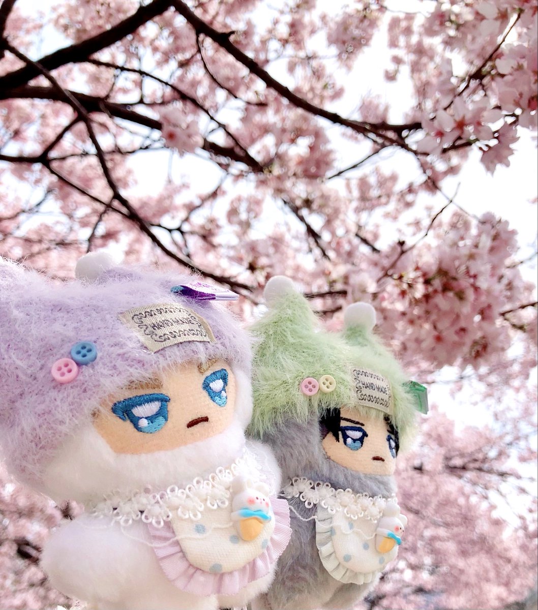 🌰黒猫🐾 🌸🍡ŧ‹"(o'ч'o)ŧ‹"🌸 tweet media