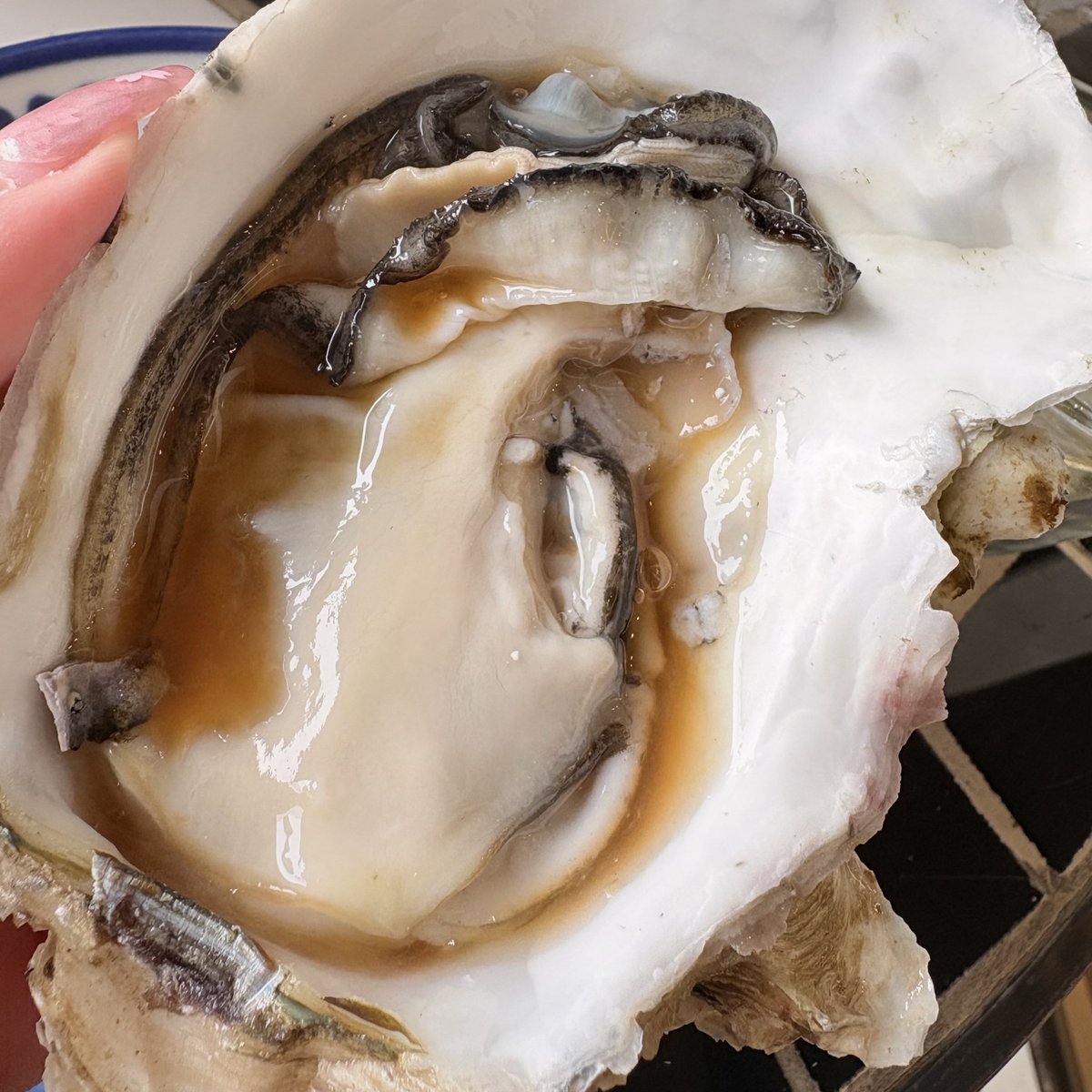 あーちん🪼 tweet media