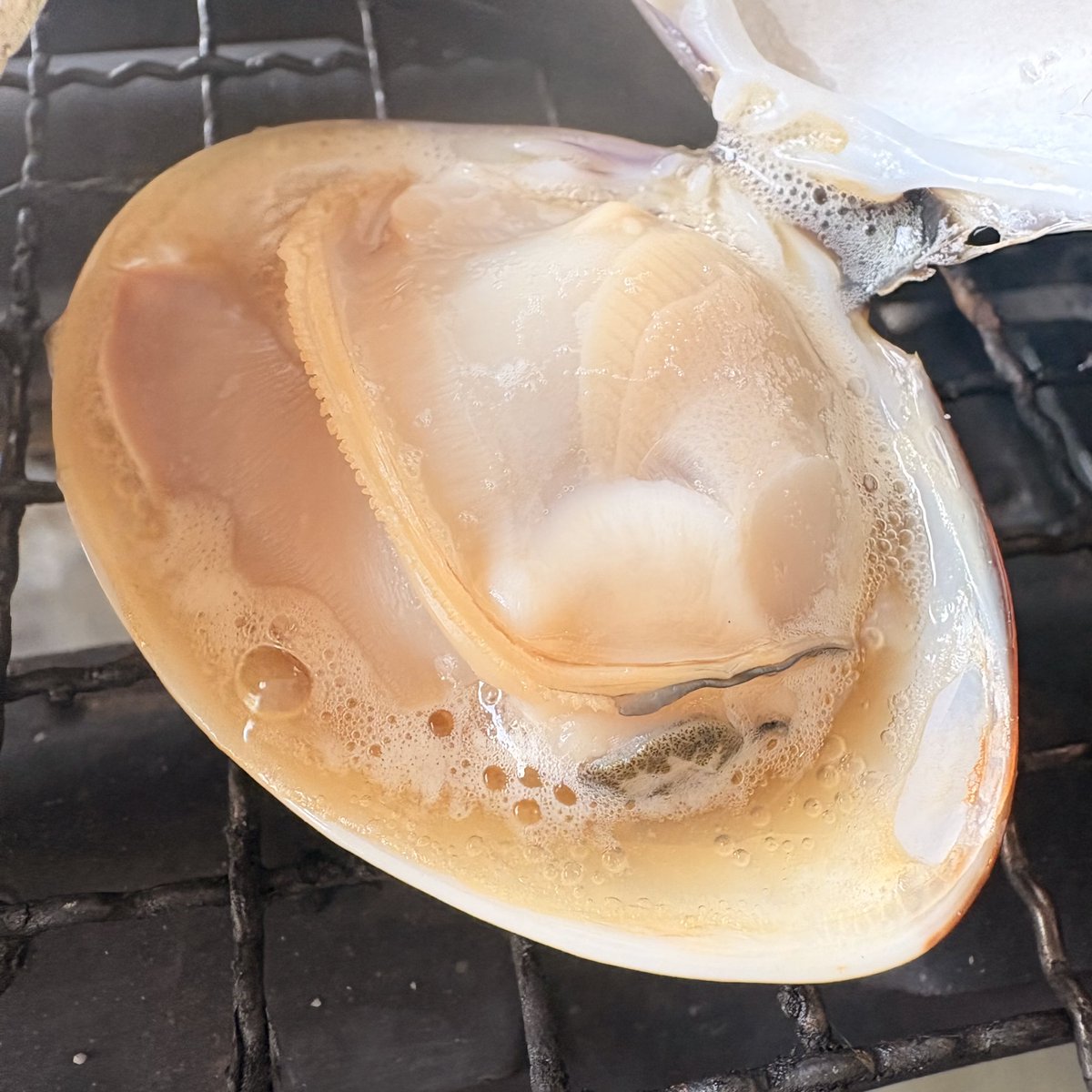 あーちん🪼 tweet media