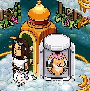 Yoco.Max tweet media