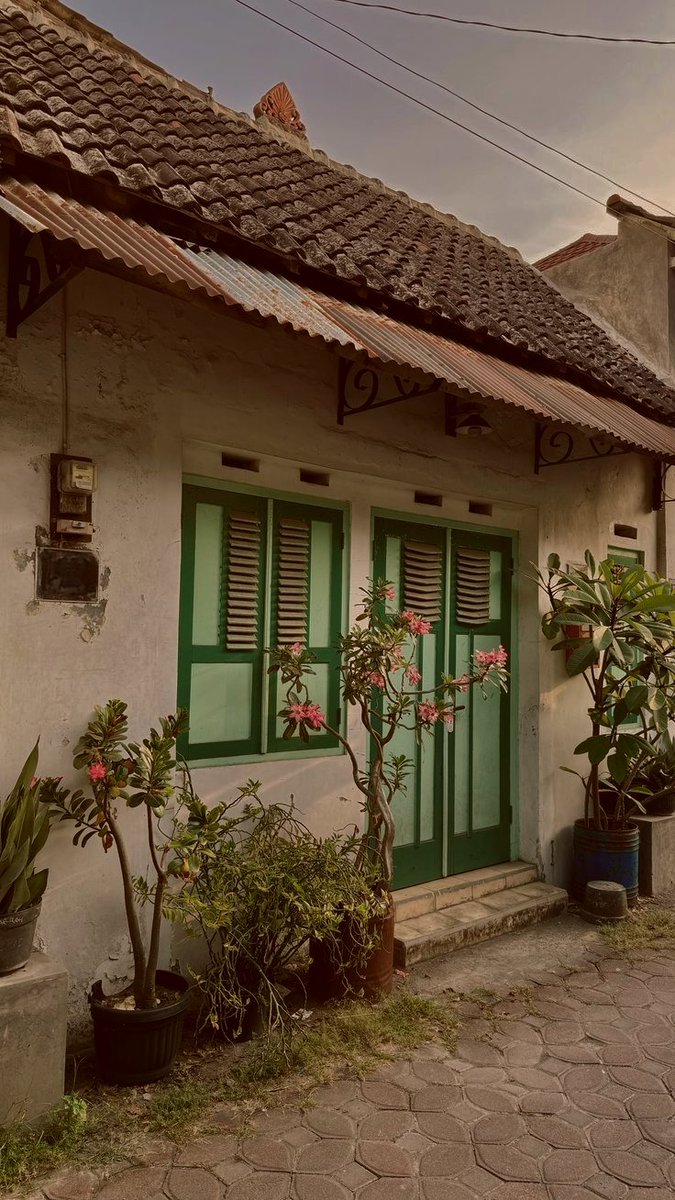 SOC-IE 💛 ˚☽˚.⋆ tweet media