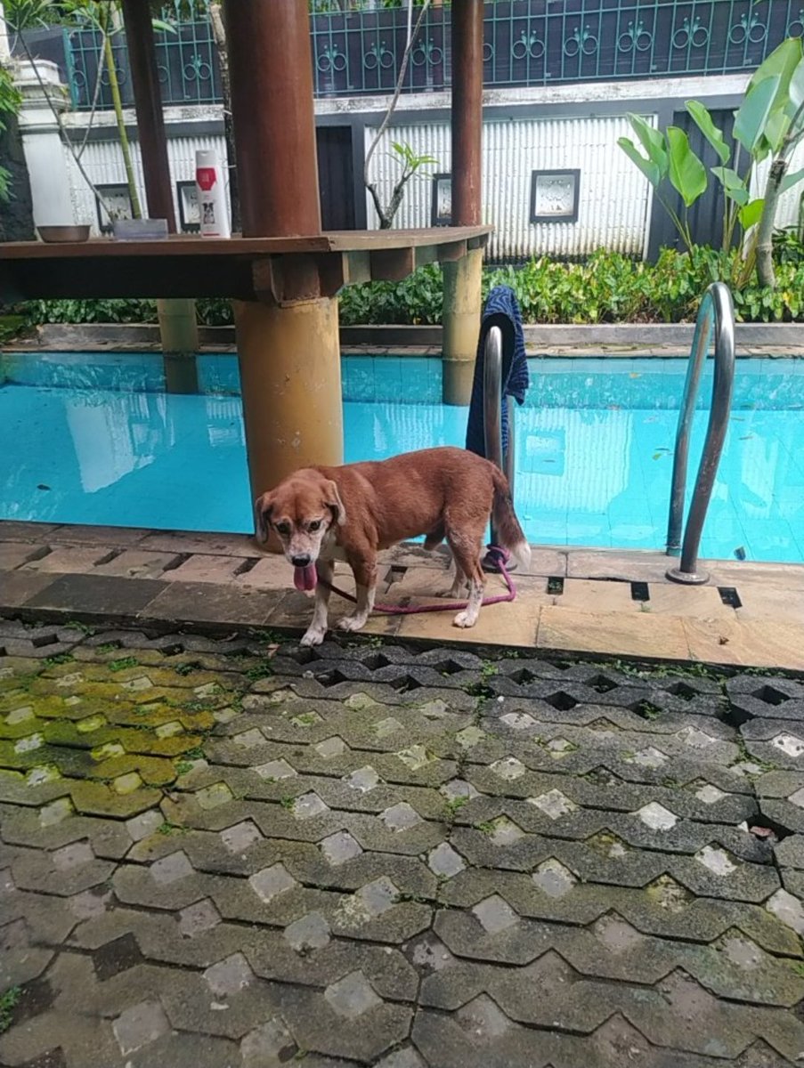 𝑎𝑟𝑢𝑛𝑖𝑘𝑎. tweet media