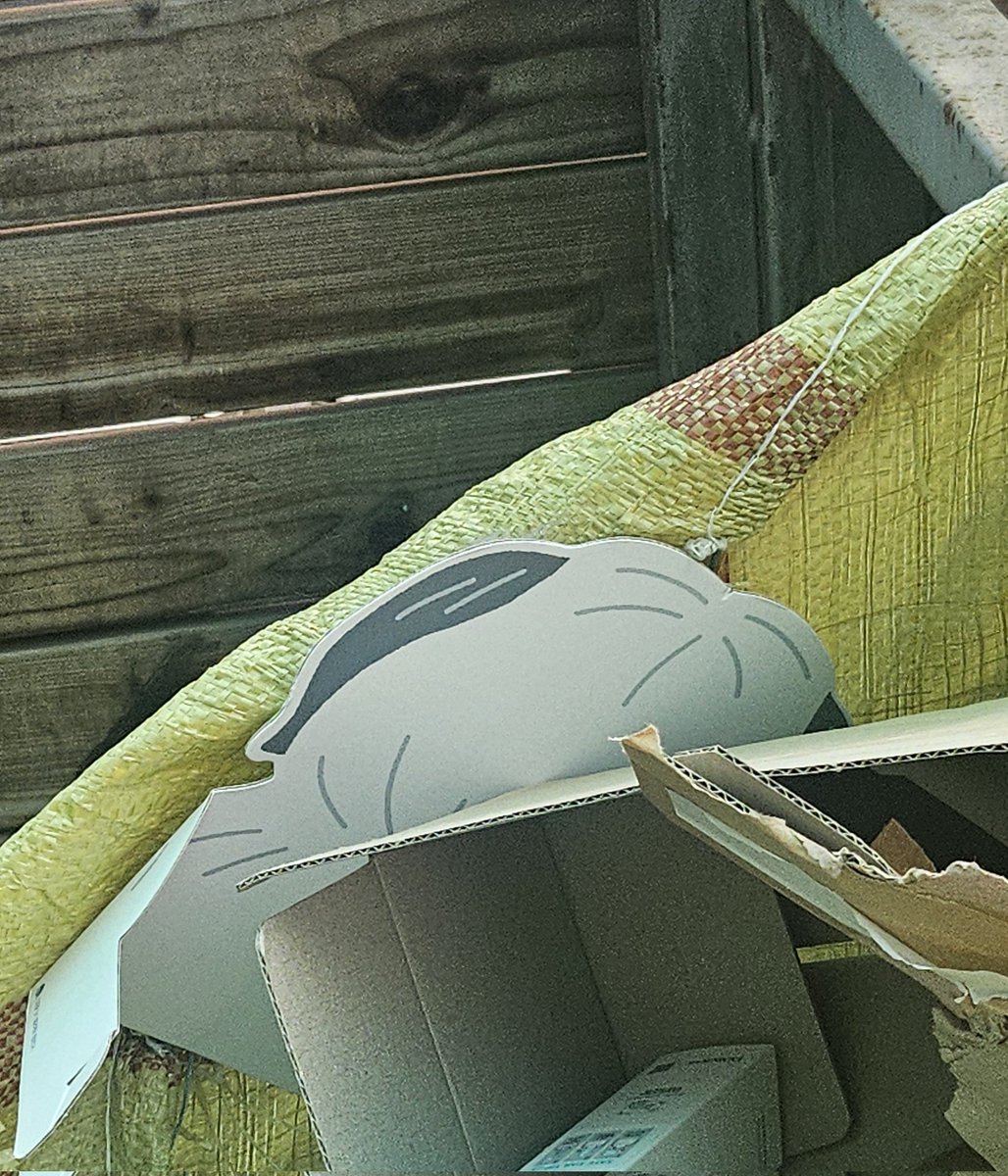 동원참치 tweet media