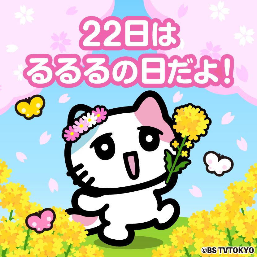 やっほ〜！るるるだよ！ 毎月22日は #るるるの日 だよ🩵🩷 ぜひぜひ