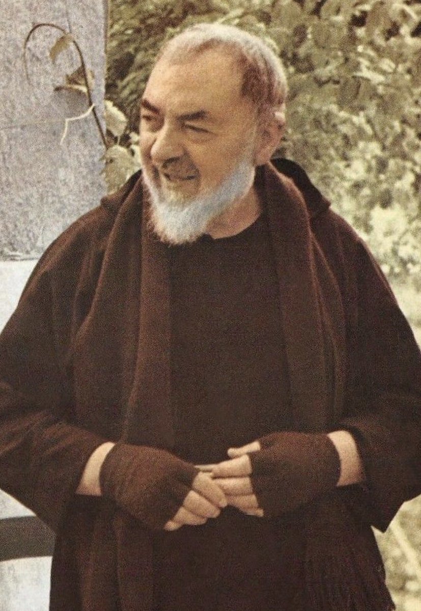 That Trad Gal tweet media