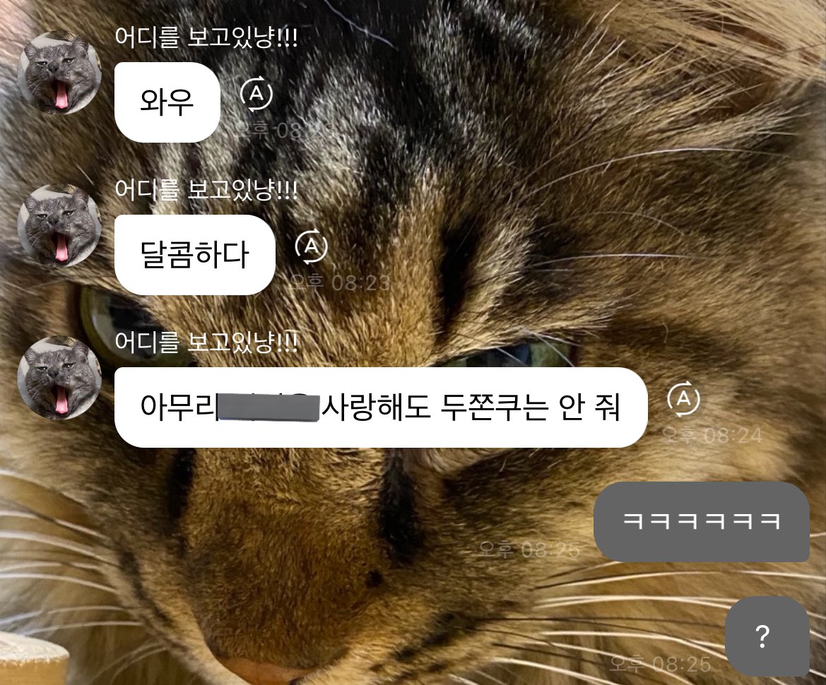 kfpity's tweet photo. 두쫀쿠 넹킷 사건…

2월 16일 킷주님이
“아무리 @@@을 사랑해도 두쫀쿠는 안 줘”
발언 이후 서운함을 느낀 여자들…
결국 장난이야라고
으로 마무리 되는데…

2월 20일 넹현님이 보낸 버블..

그래 나 이해했다… https://t.co/vfcEBFFSk4
