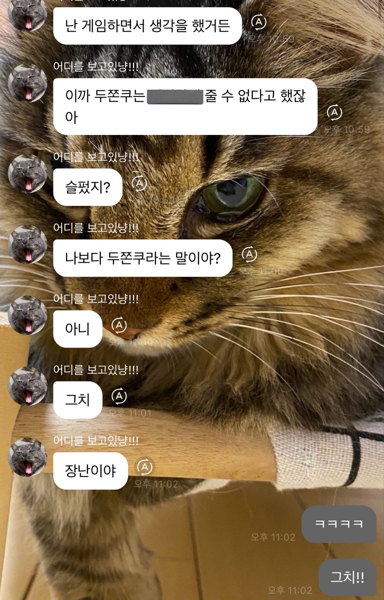 kfpity's tweet photo. 두쫀쿠 넹킷 사건…

2월 16일 킷주님이
“아무리 @@@을 사랑해도 두쫀쿠는 안 줘”
발언 이후 서운함을 느낀 여자들…
결국 장난이야라고
으로 마무리 되는데…

2월 20일 넹현님이 보낸 버블..

그래 나 이해했다… https://t.co/vfcEBFFSk4