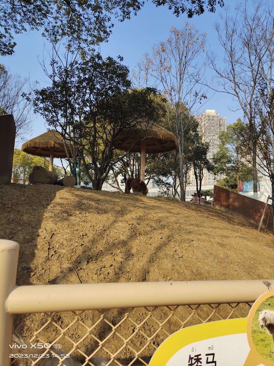 EMAD GAMAL AHMED tweet media