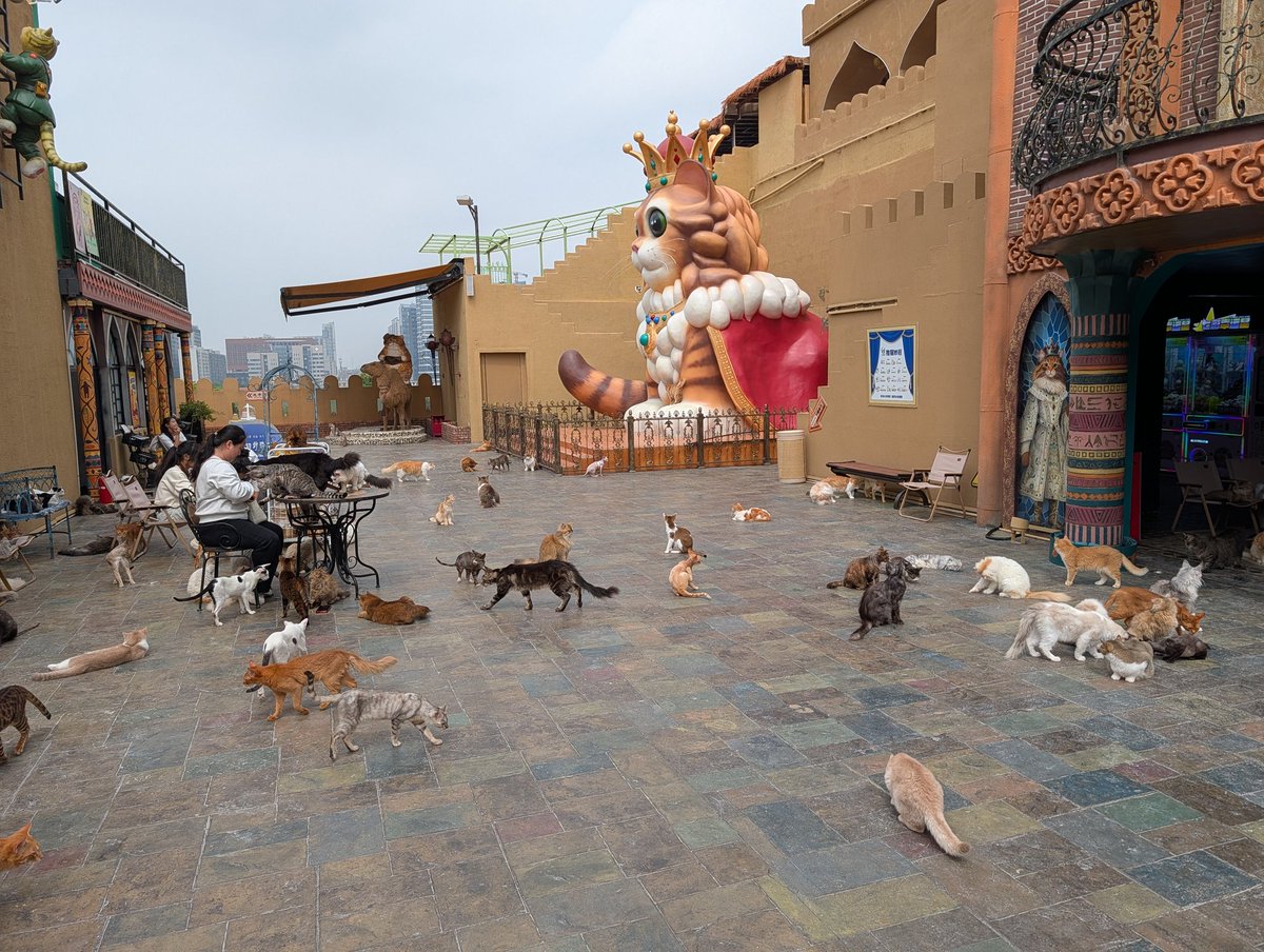 Wilson, Refined Grizzly tweet media