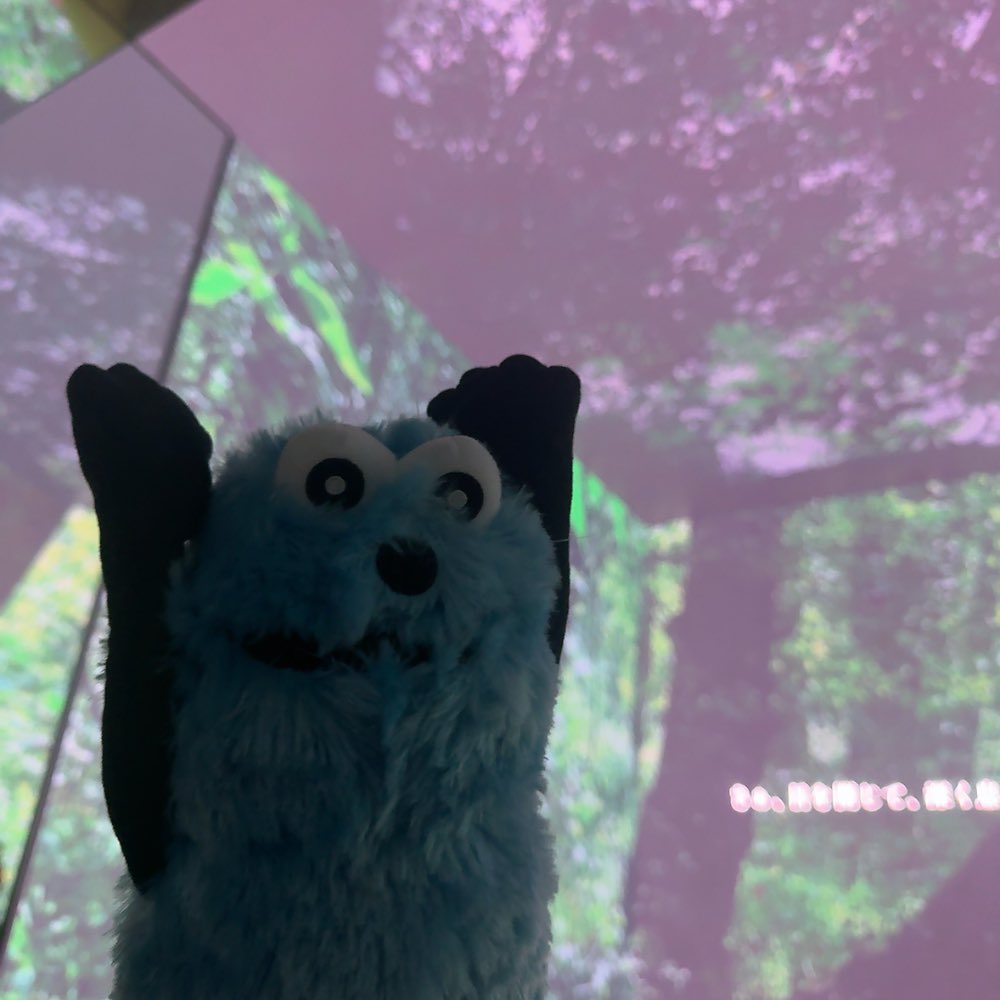 yukihu__ tweet media