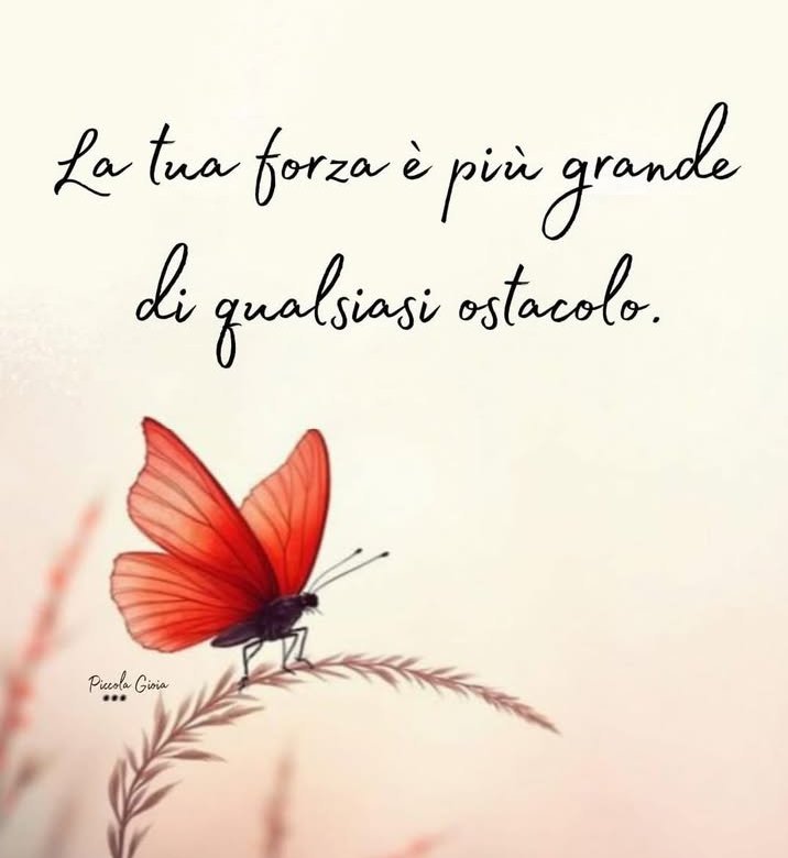 :Cinzia Paola tweet media