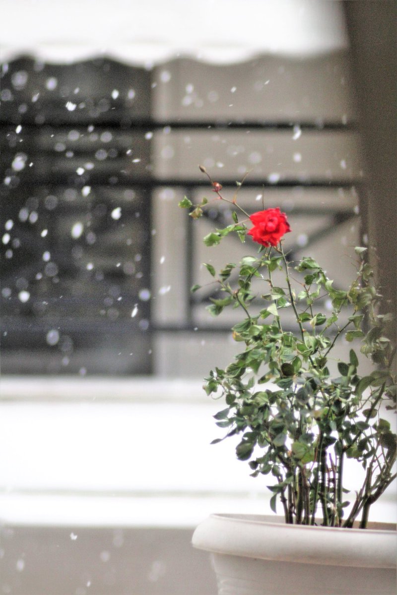 ΔΗΜΗΤΡΗΣ ΚΟΥΤΡΟΥΜΑΝΟ tweet media