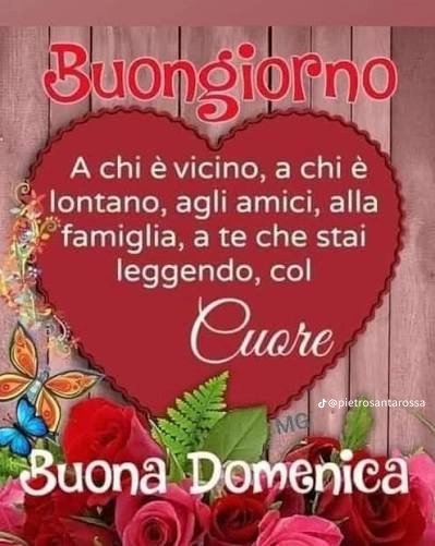 Graziella tweet media