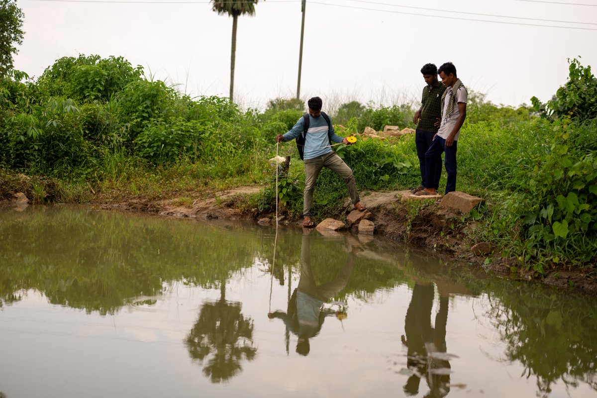 Nithin Kamath tweet media