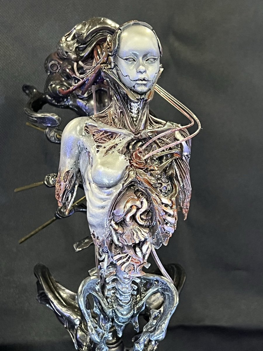 physalis007(PHY/サイ)Carat'5 C-13 tweet media