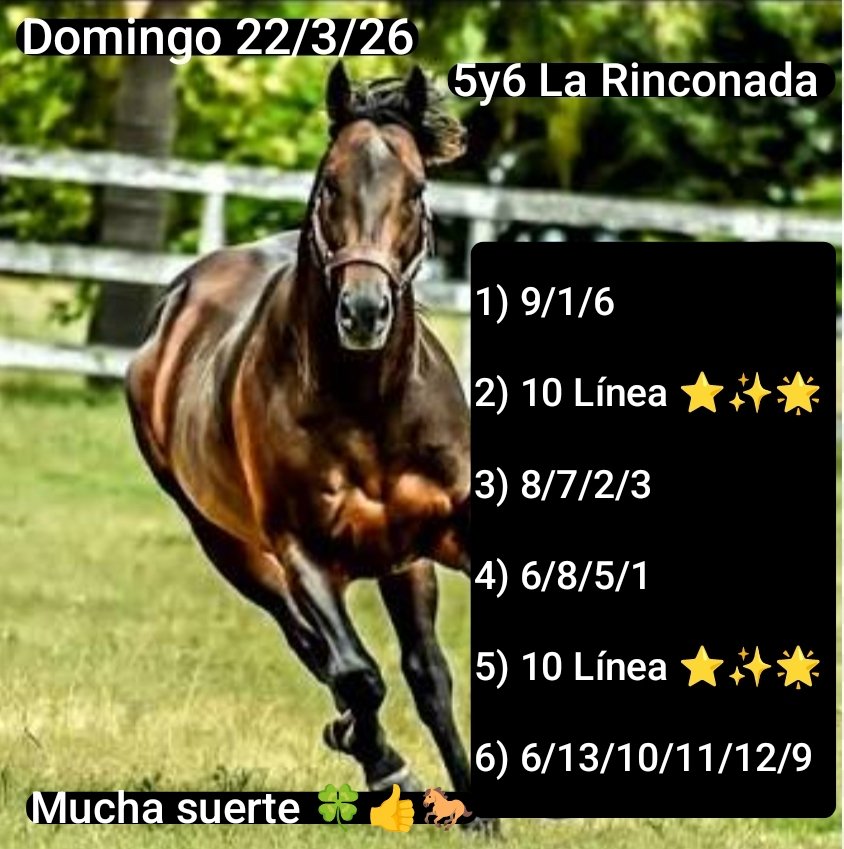 Mucha suerte amigos 🍀👍🐎 
Bendiciones!!!