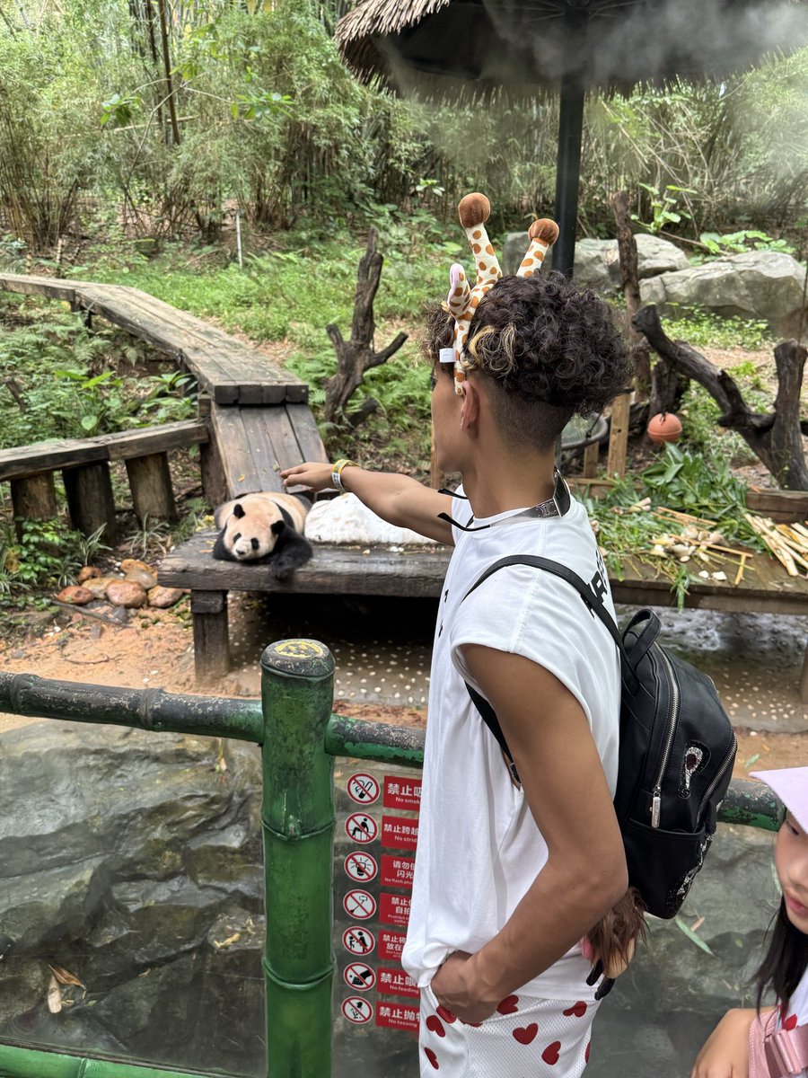 杨增一 tweet media