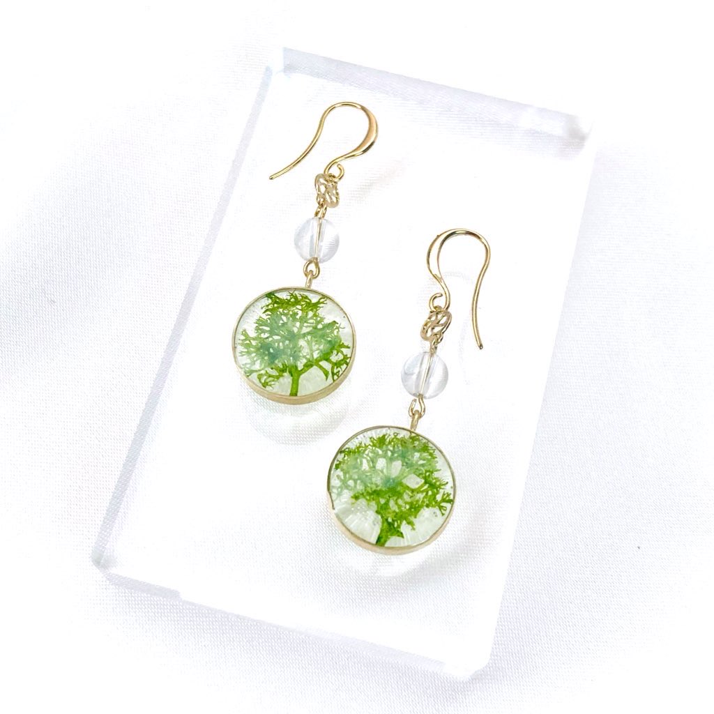 stellano2020's tweet photo. 【Stellano 新作紹介】
Green Moss（緑苔）ピアス

鮮緑のアイルランド・モスを真鍮フレームに納めたボタニカルなピアス

枝先が樹木や海草のようにも見えるイマジネーション広がるデザインに、透明感のある水晶を合わせた一点ものアイテムです✨

現在@matamata_shop さんにて委託販売中です https://t.co/zOxfwJ5eQY