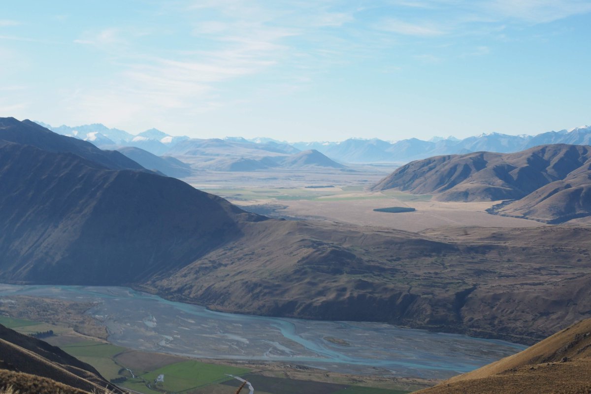 ณิช tweet media