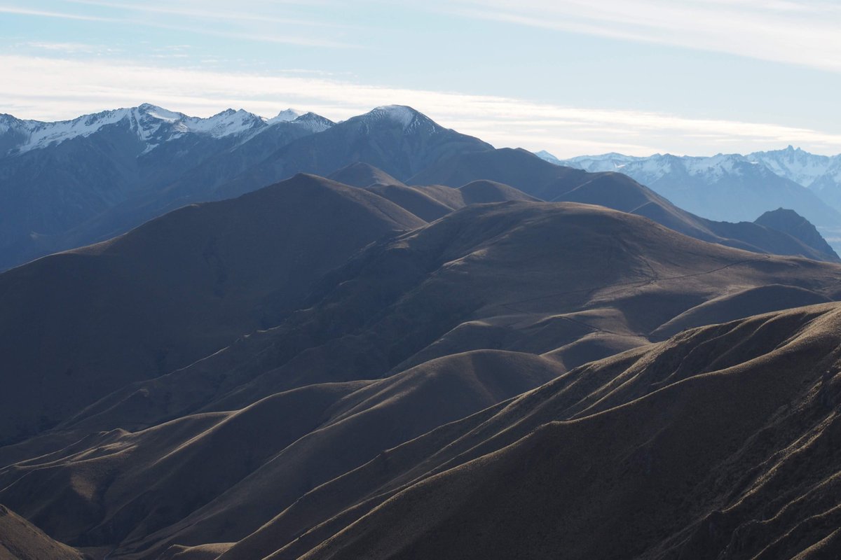 ณิช tweet media