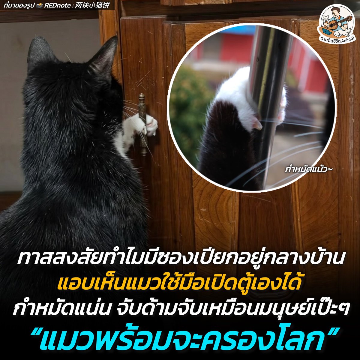 ตามติดชีวิตAnimal tweet media